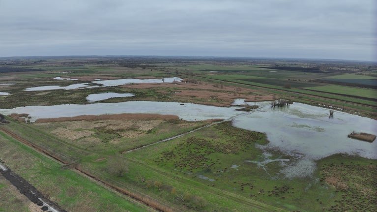 Aerial view of wetland on fenland - standing water among areas of vegetation